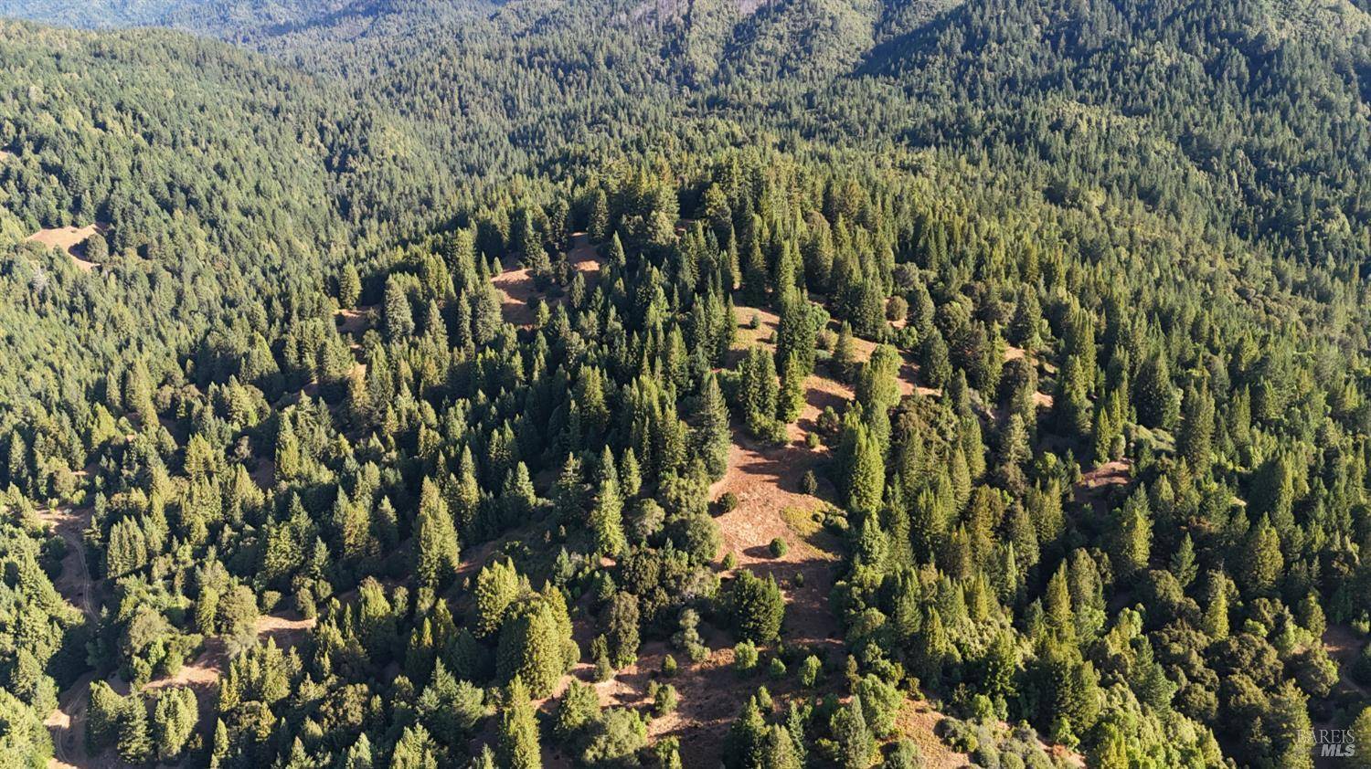 Manchester, CA 95459,0 Mountain View RD