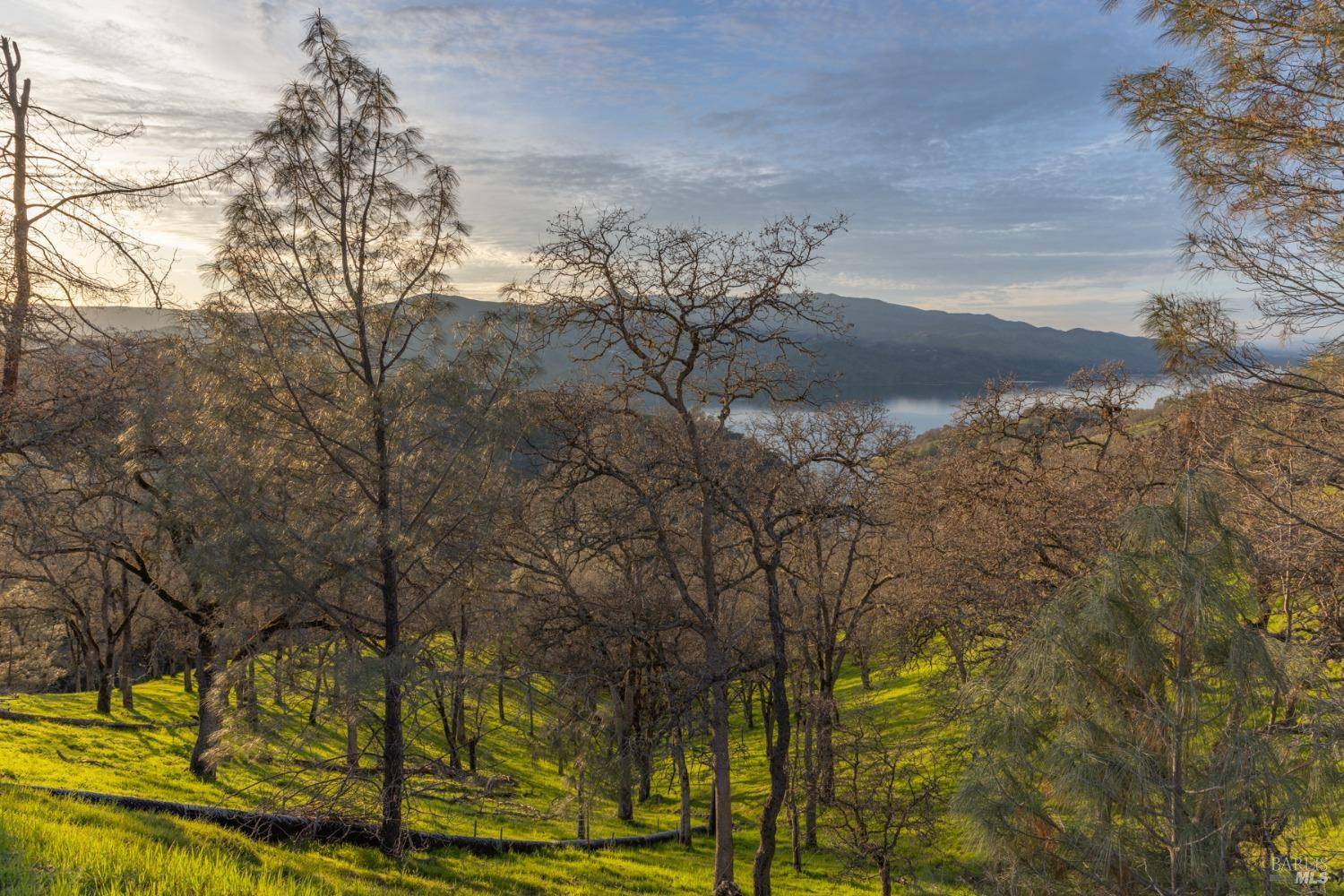Napa, CA 94558,1123 Steele Canyon RD