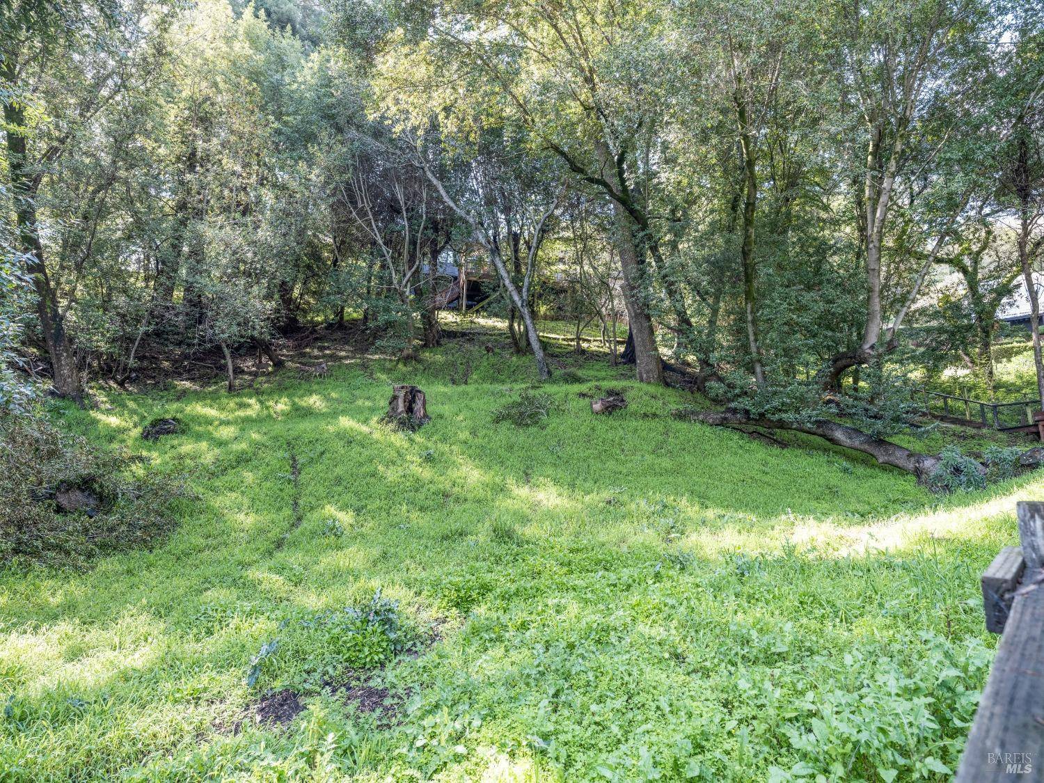 Mill Valley, CA 94941,29 Lower Alcatraz PL