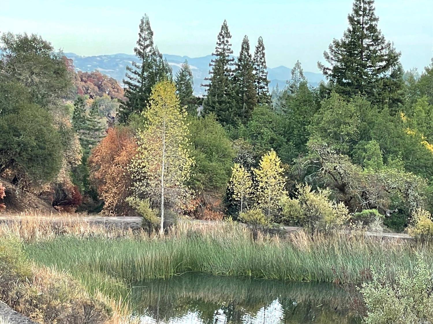 Healdsburg, CA 95448,0 Wallace Creek RD