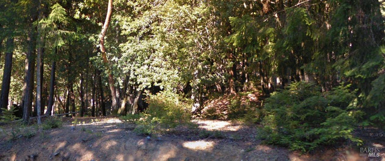 Willits, CA 95490,1871 Clover DR