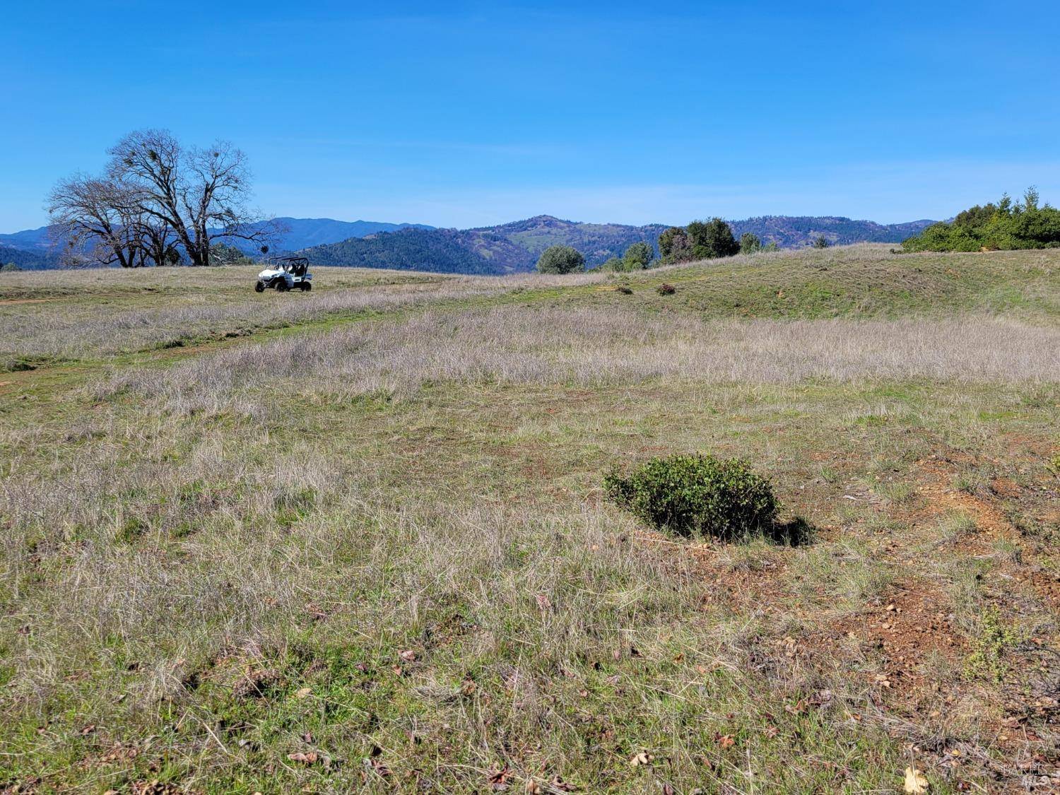 Willits, CA 95490,43281 Covelo RD