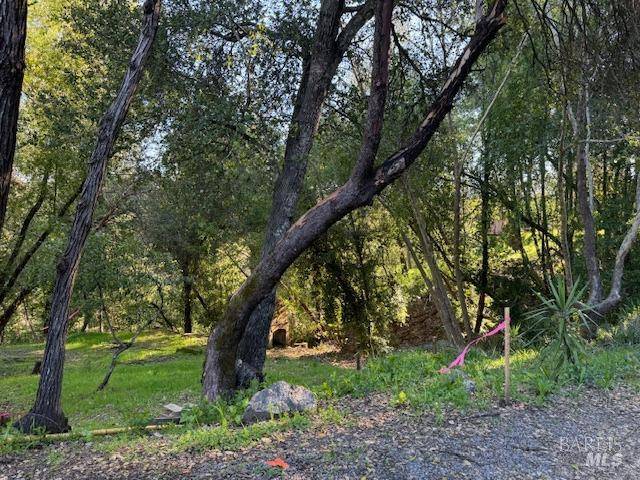 Healdsburg, CA 95448,2491 Riverview DR