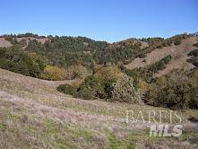 Healdsburg, CA 95448,2100 Big Ridge RD