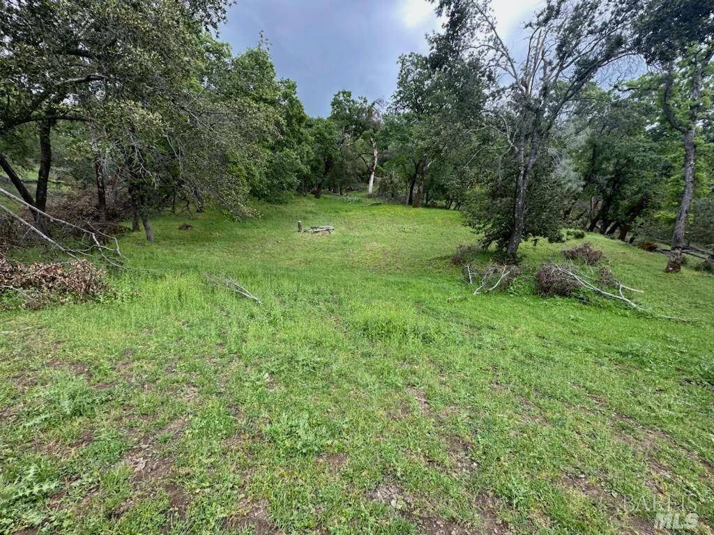 Napa, CA 94558,0 Longhorn Ridge RD #Lot 8