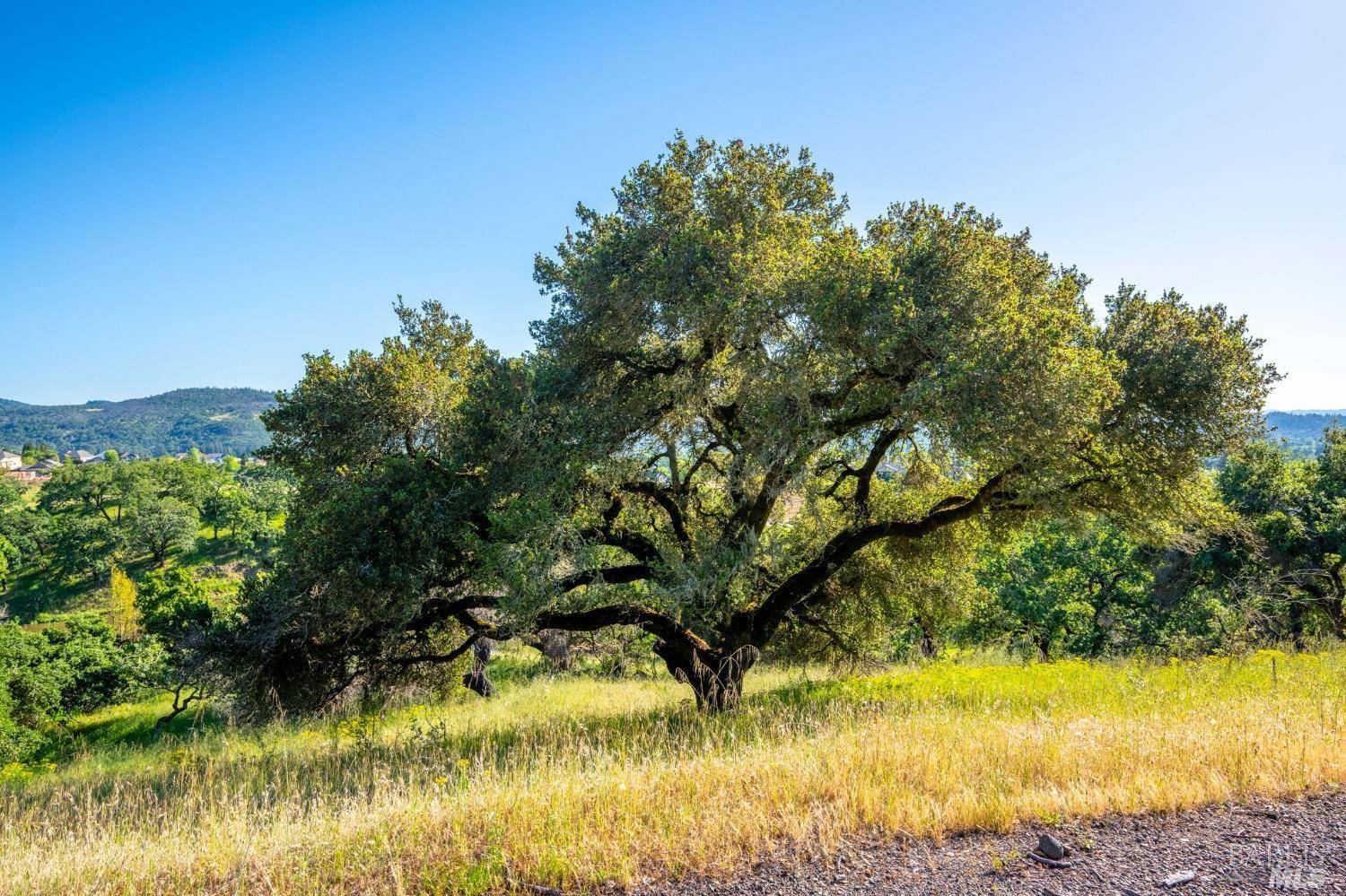 Santa Rosa, CA 95409,965 Los Alamos RD