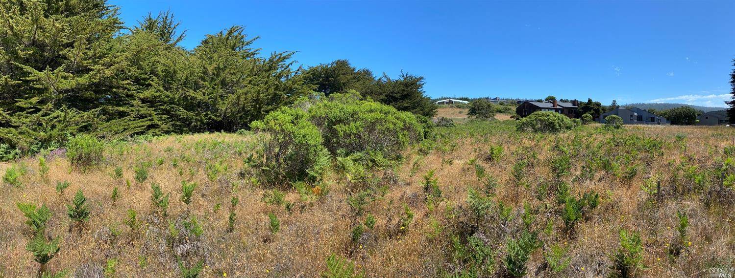 The Sea Ranch, CA 95497,154 Helm