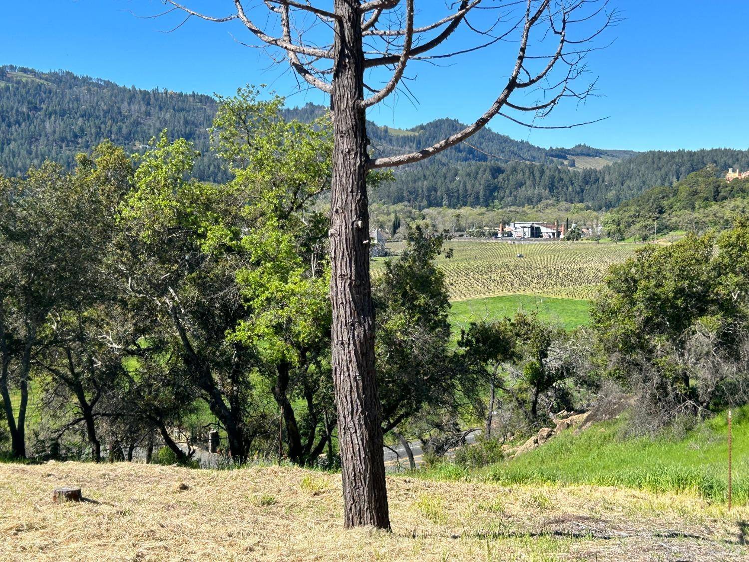 Calistoga, CA 94515,4510 Silverado TRL