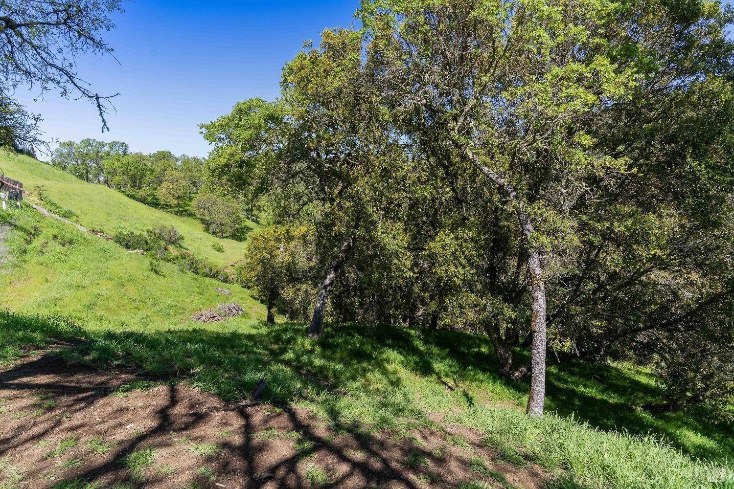 Napa, CA 94558,0 Steele Canyon RD 61 #Lot