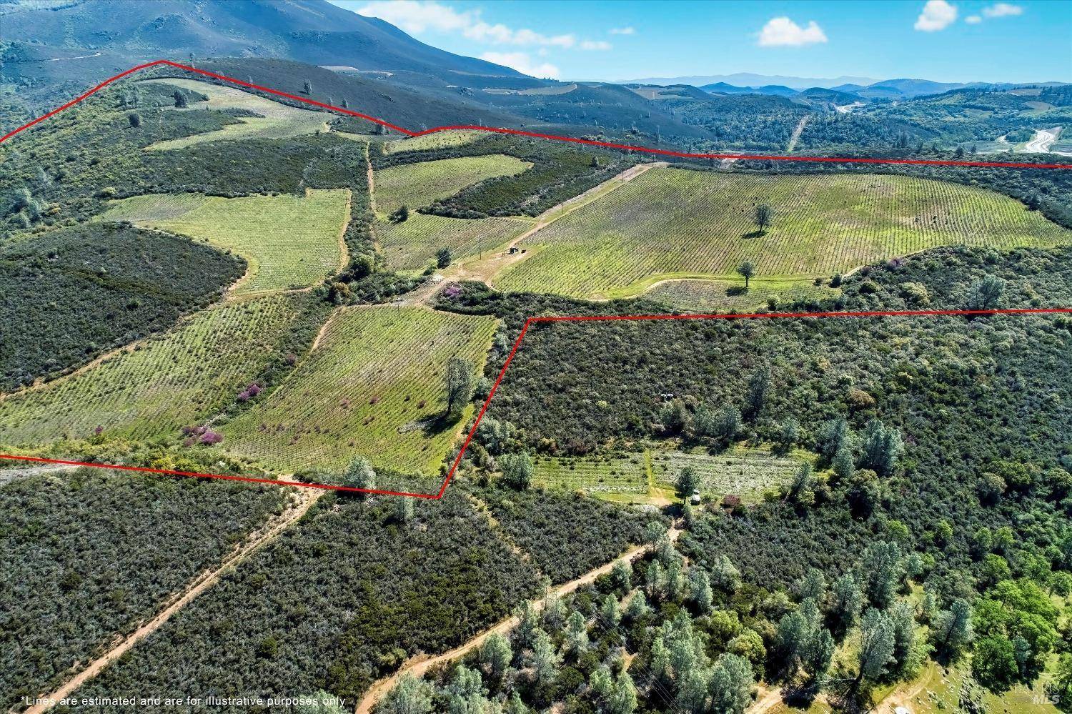 Kelseyville, CA 95451,7590 Highway 29