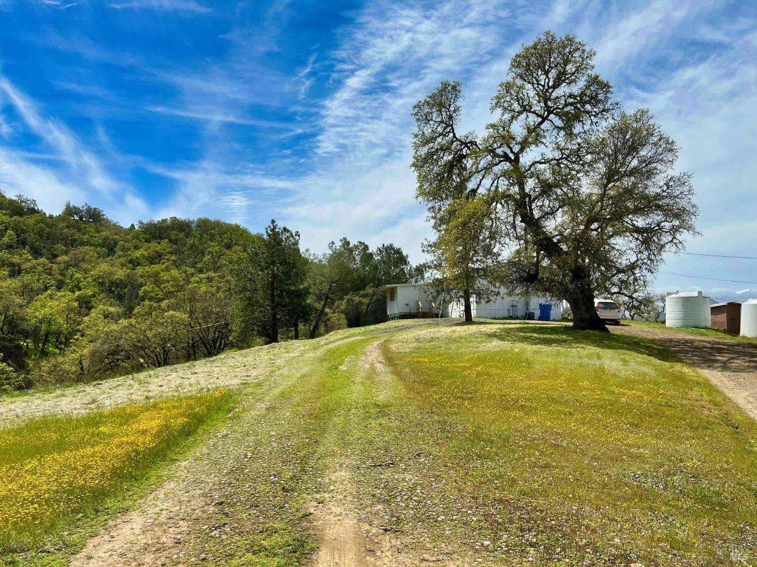 Redwood Valley, CA 95470,4211 Black Bart TRL