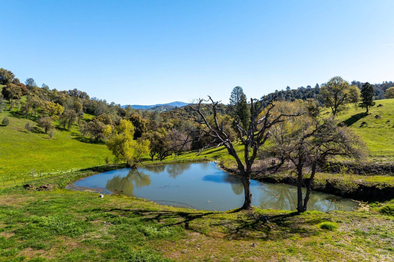 Groveland, CA 95321,16554 Corcoran Gray RD