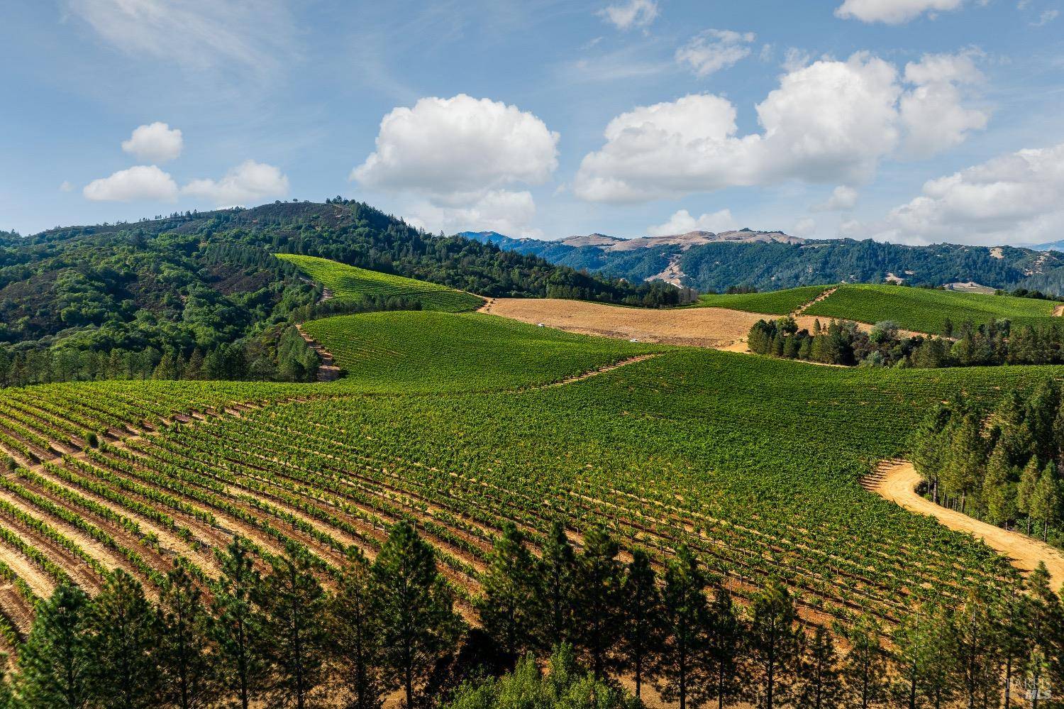 Healdsburg, CA 95448,9965 W Dry Creek RD