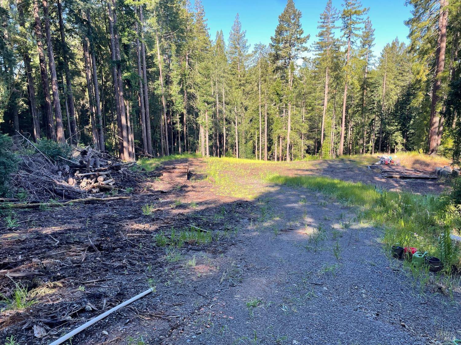 Occidental, CA 95465,15210 Bittner RD