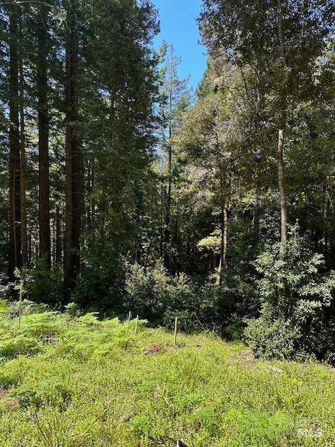 Timber Cove, CA 95450,22051 Rust DR