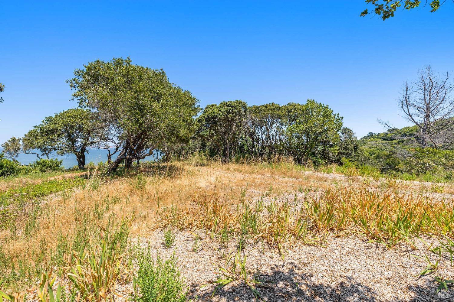 Tiburon, CA 94920,3820 Paradise DR Lot 3