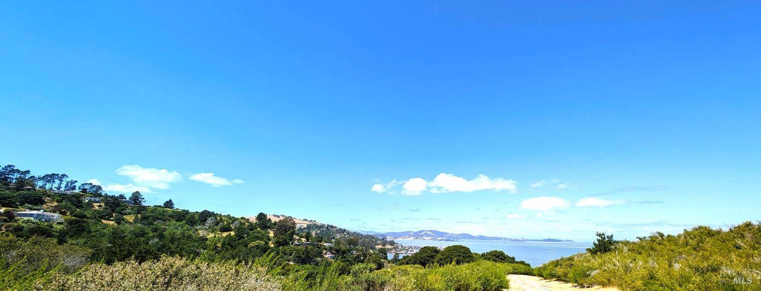 Tiburon, CA 94920,0 Paradise GLN