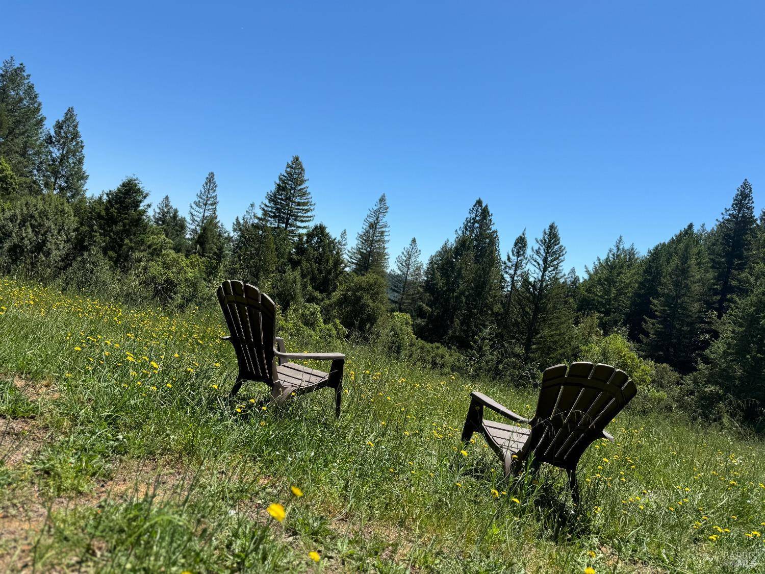 Healdsburg, CA 95448,4579 Mill Creek RD