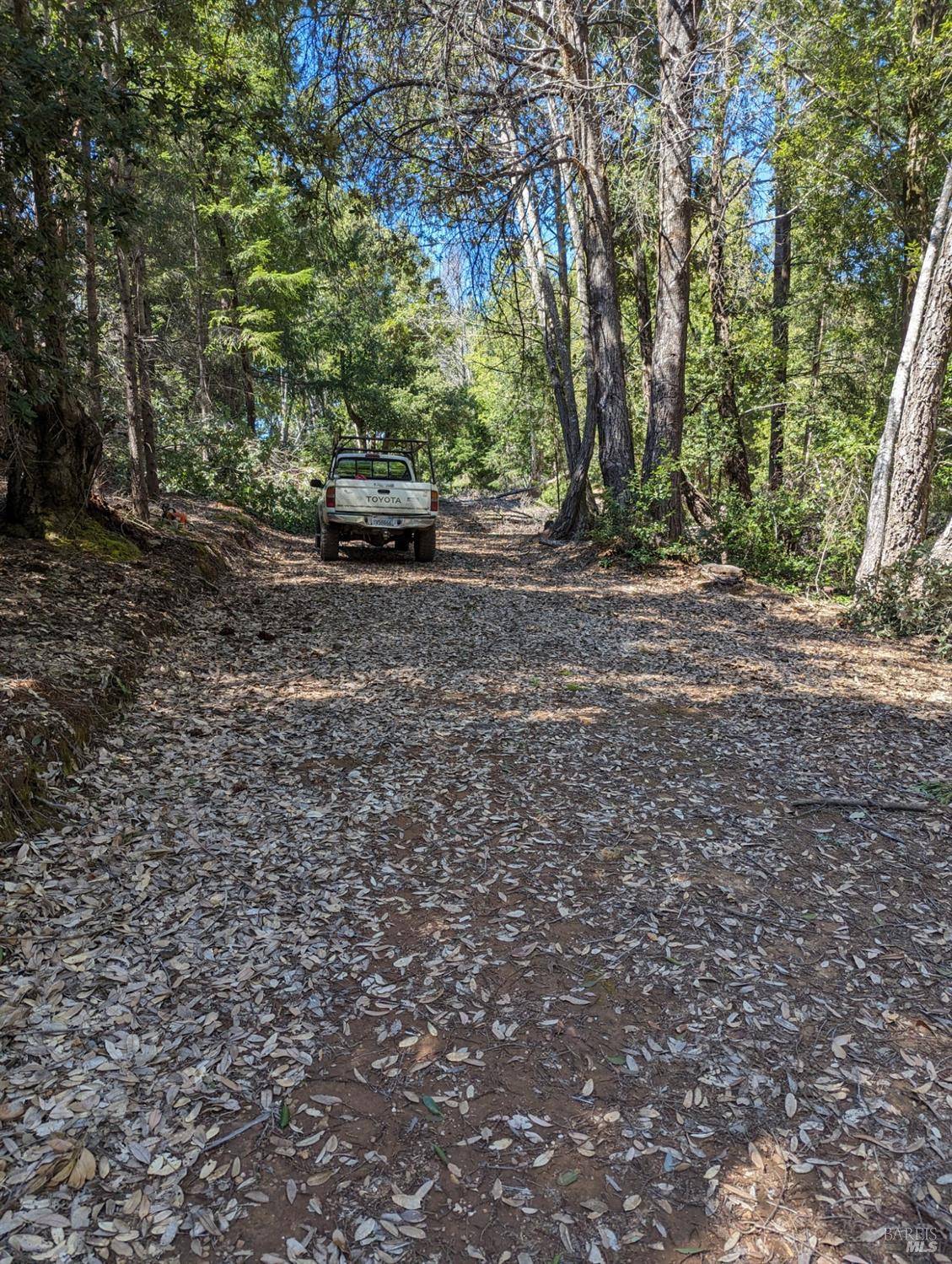 Cazadero, CA 95421,30928 King Ridge RD