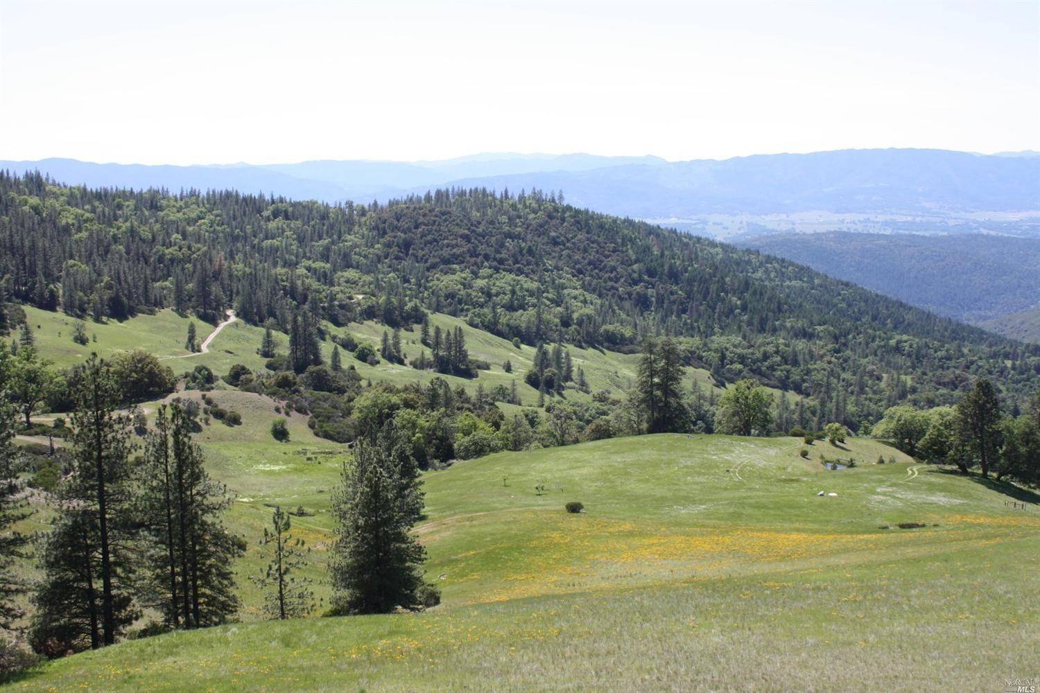 Covelo, CA 95428,50430 Timbered Ridge TRL