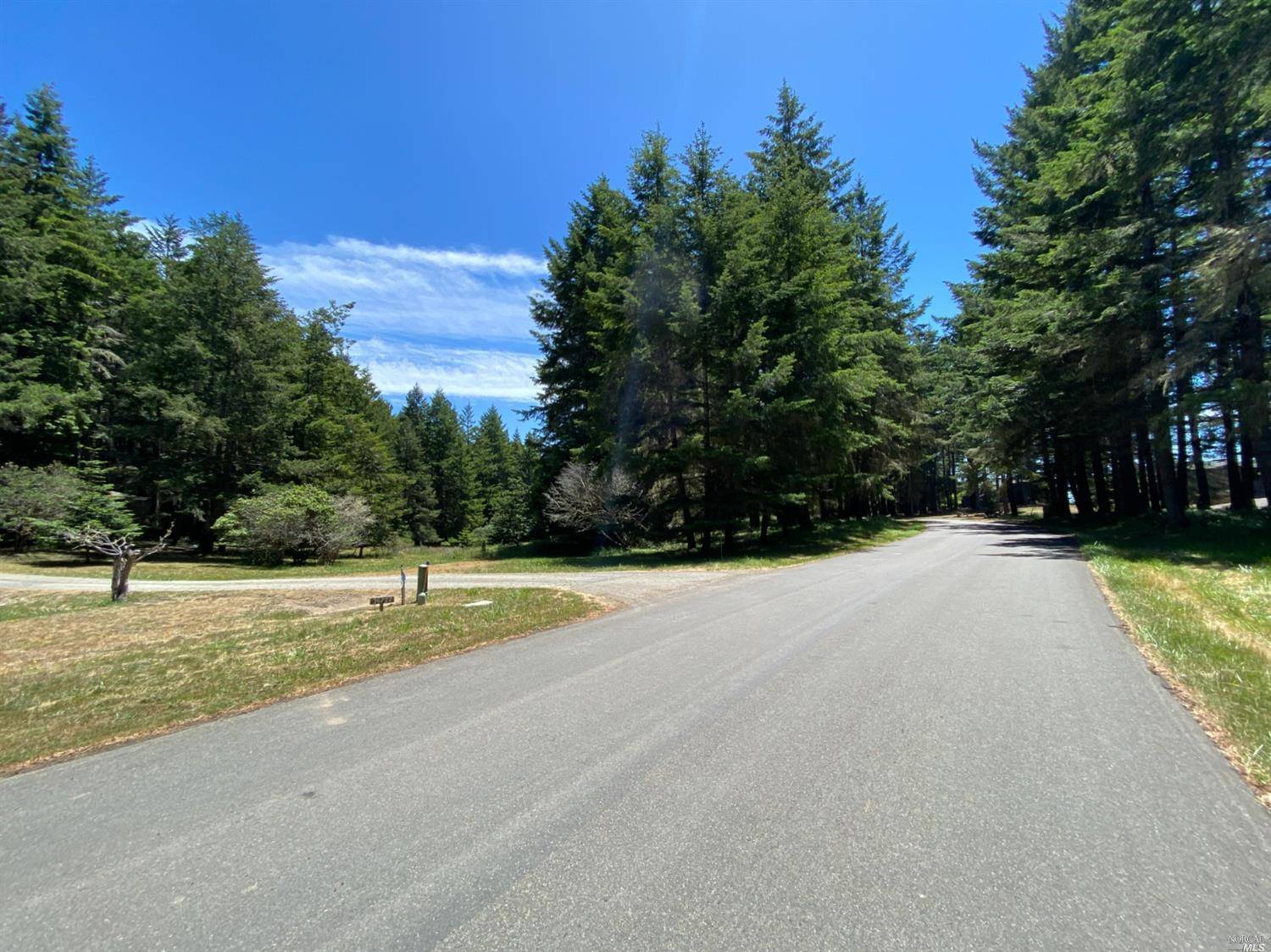 The Sea Ranch, CA 95497,36734 Timber Ridge RD