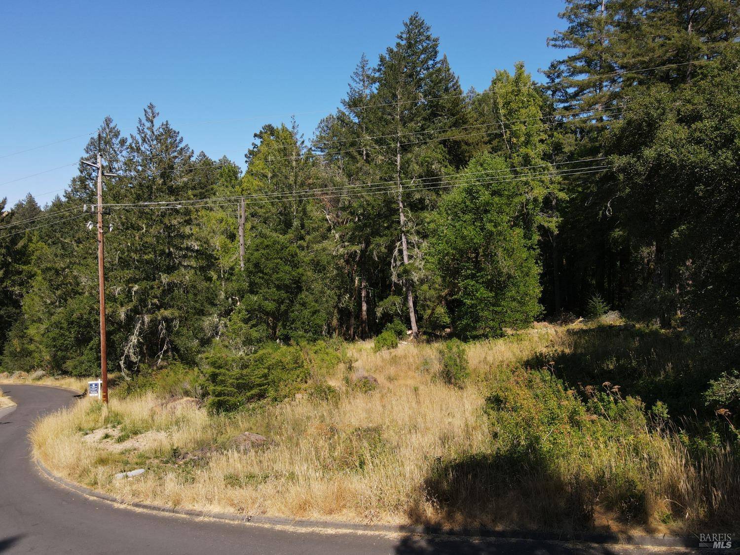 San Geronimo, CA 94963,1 Meadow View LN