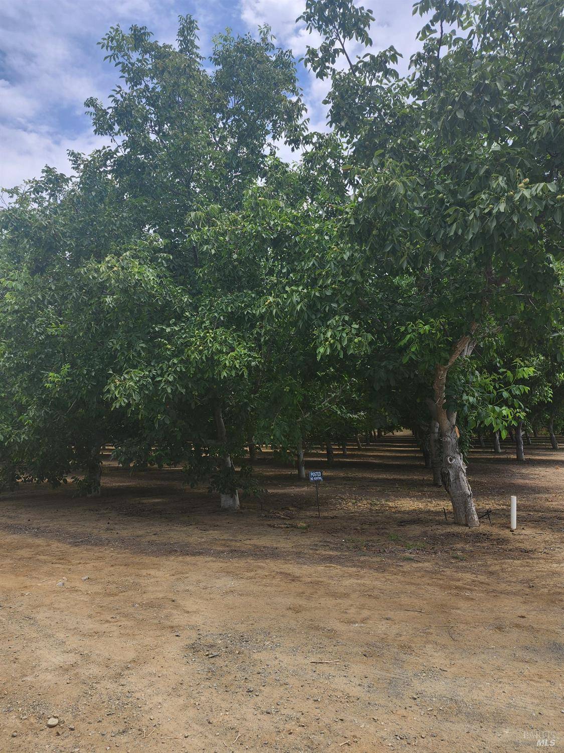 Dixon, CA 95620,0 Schroeder RD