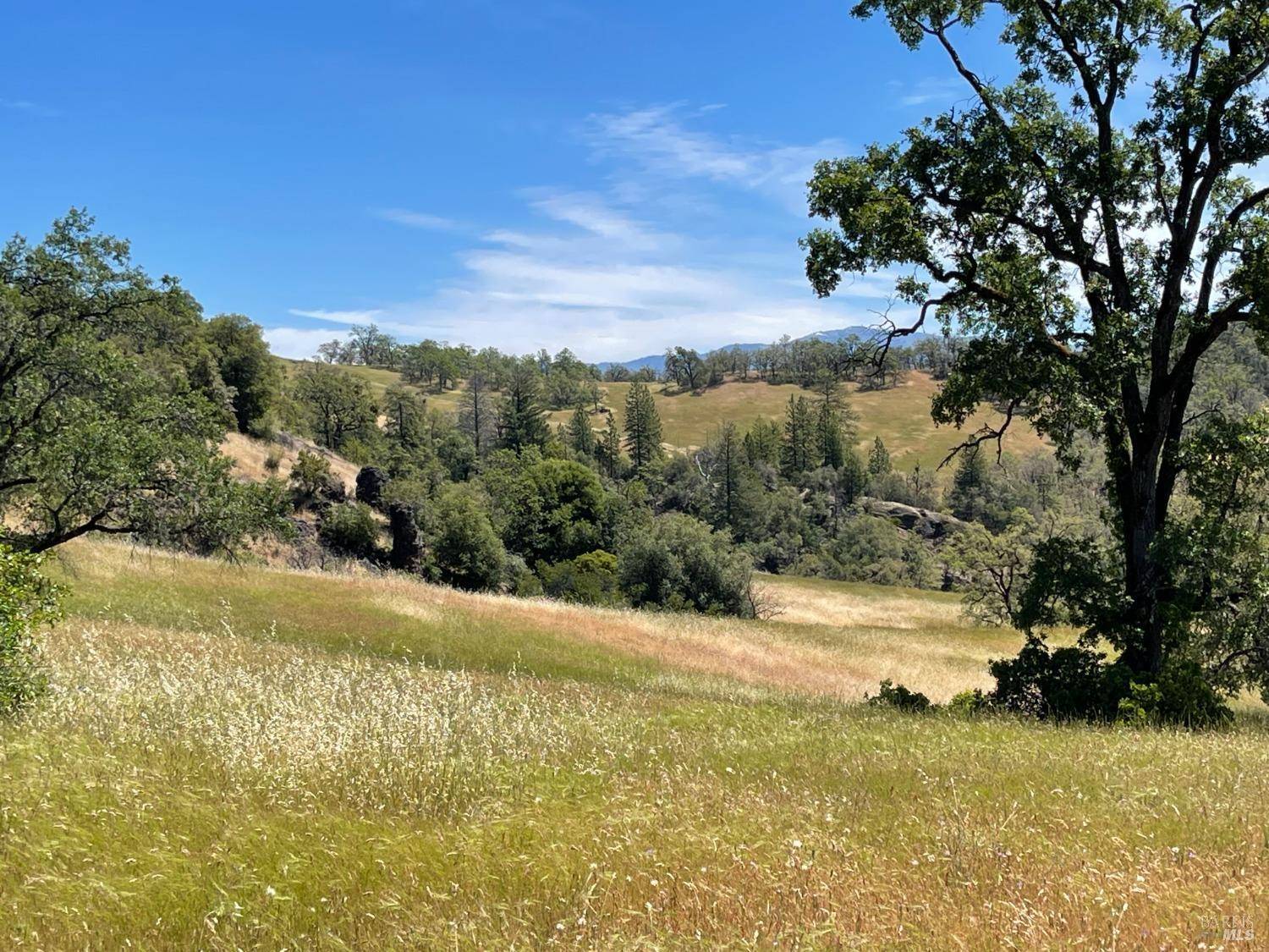 Covelo, CA 95428,22551 Rifle Range RD