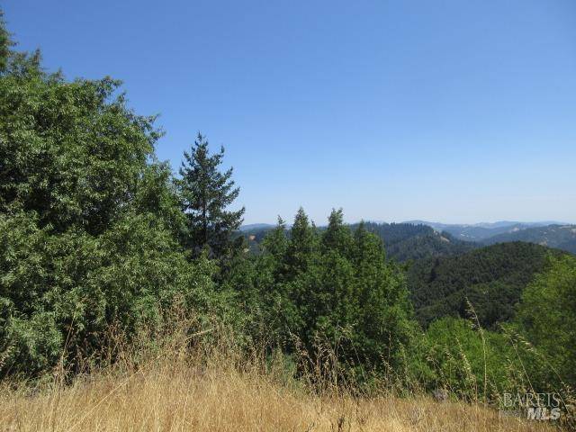 Cazadero, CA 95421,23480 Fort Ross RD