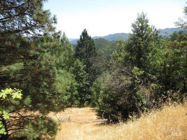 Cazadero, CA 95421,23480 Fort Ross RD