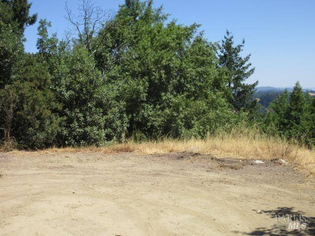 Cazadero, CA 95421,23480 Fort Ross RD