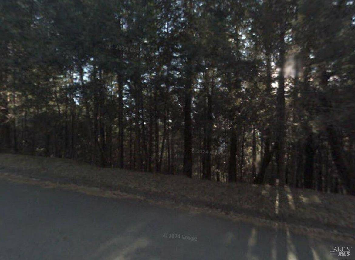 Willits, CA 95490,15340 Ridge RD