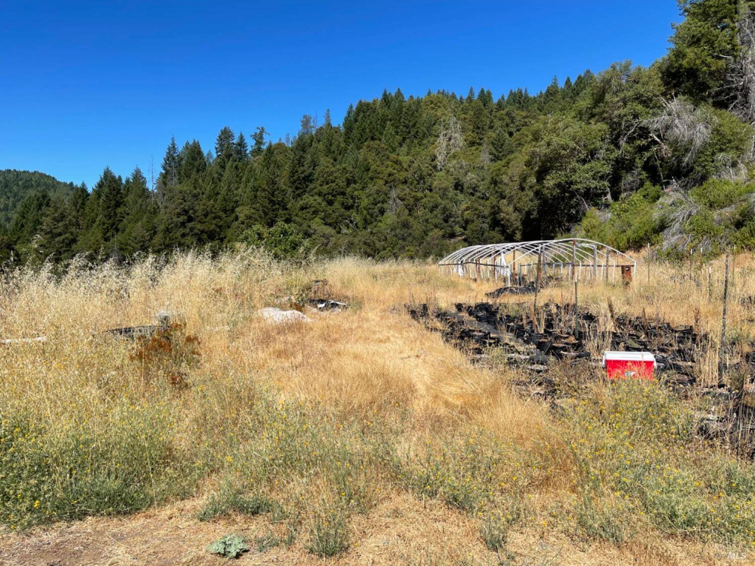 Laytonville, CA 95585,1506 Spyrock RD