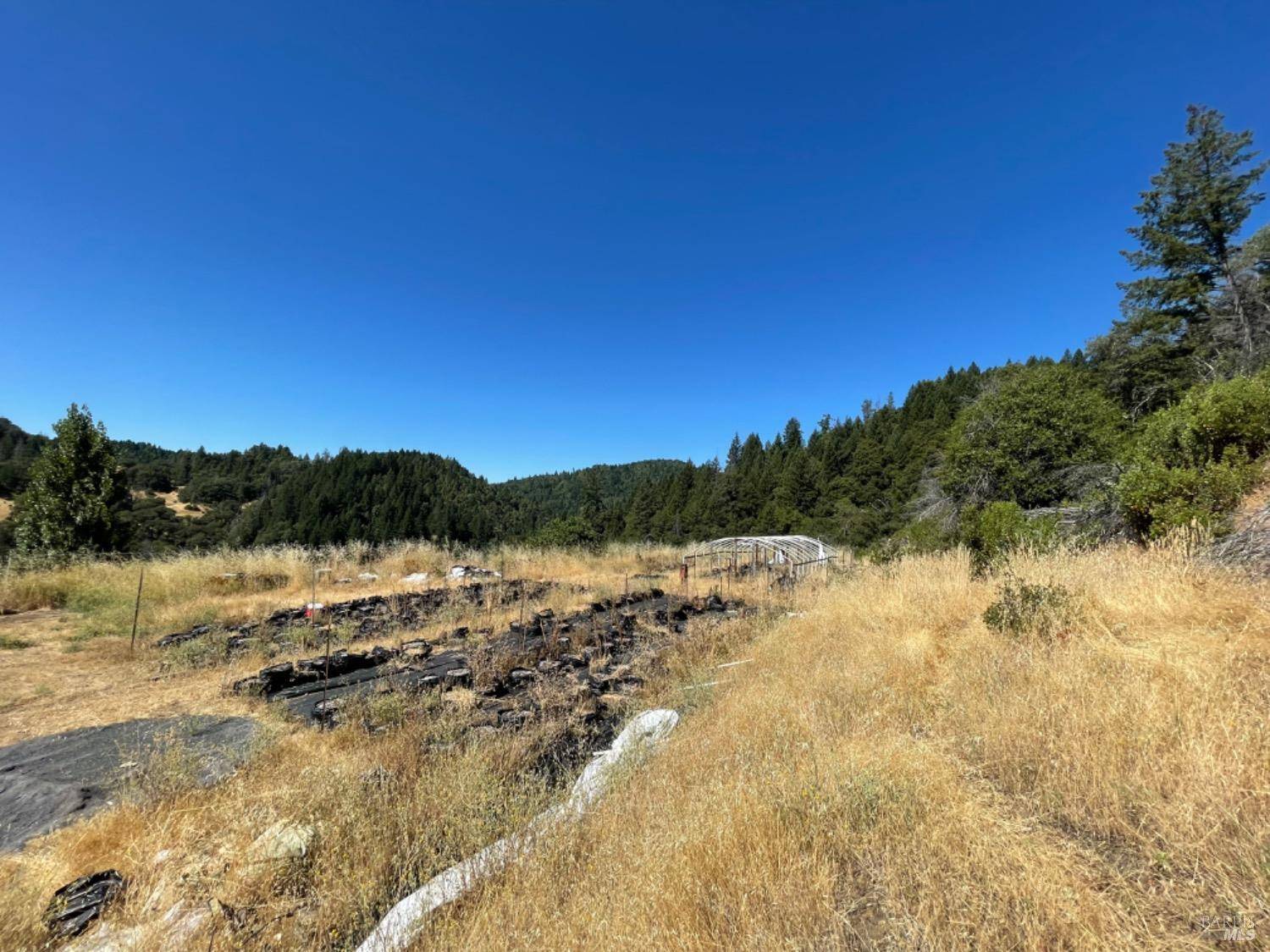 Laytonville, CA 95585,1506 Spyrock RD