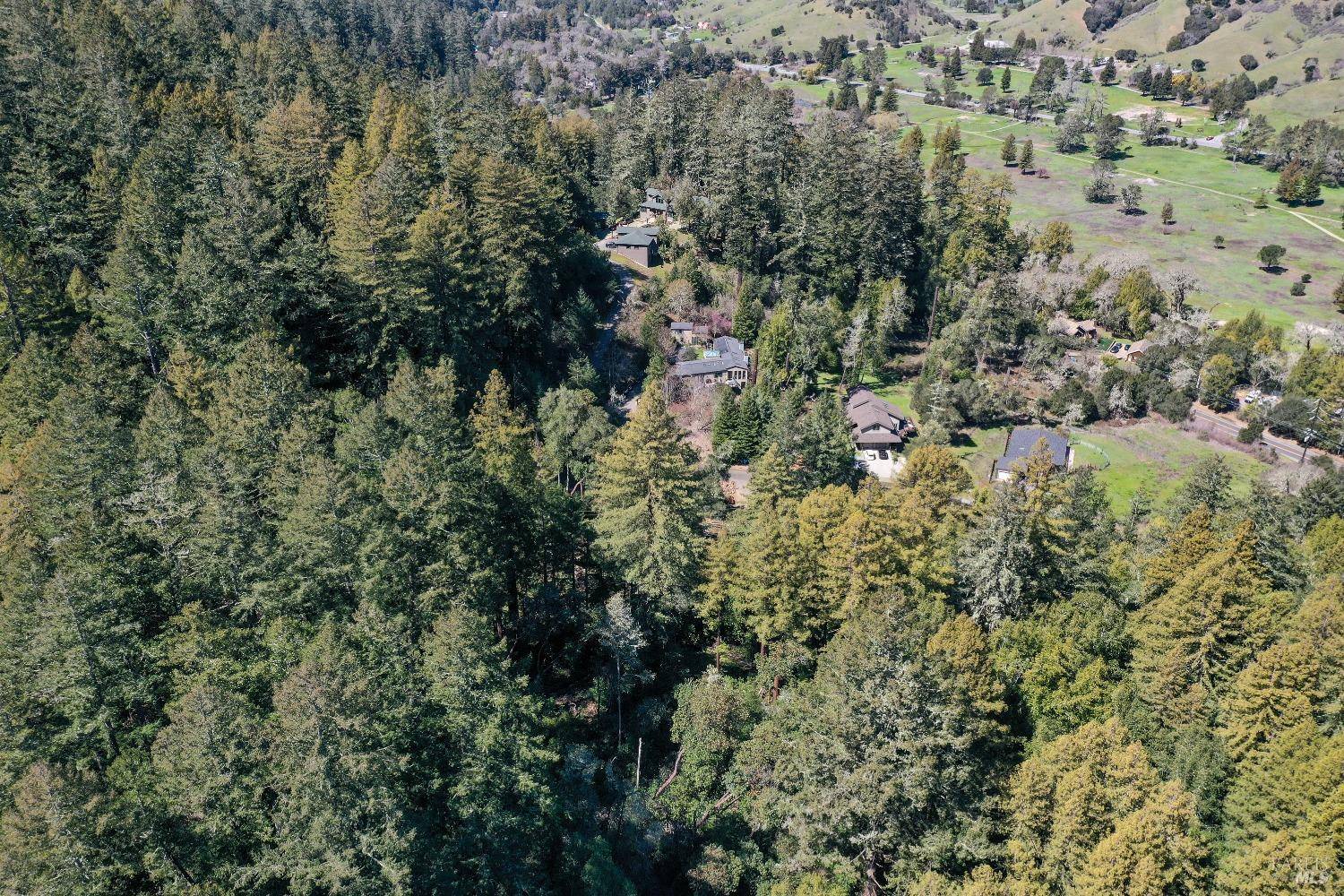 San Geronimo, CA 94963,9 Meadow View LN