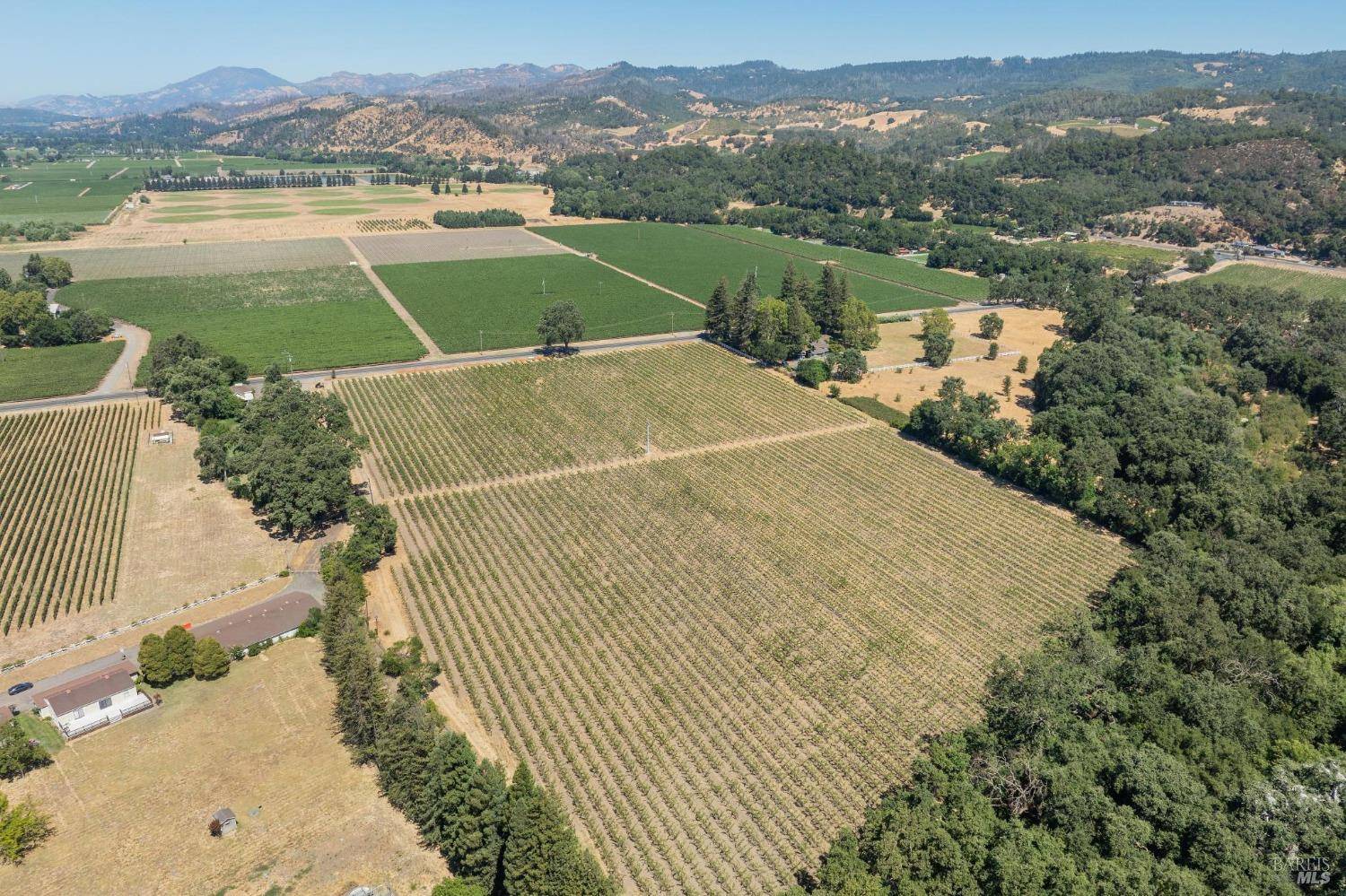 St. Helena, CA 94574,79 Zinfandel LN