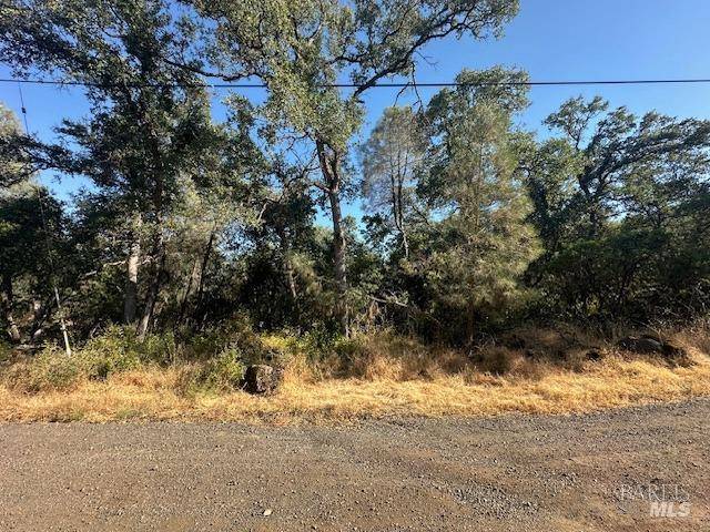 Clearlake, CA 95422,15819 20th AVE