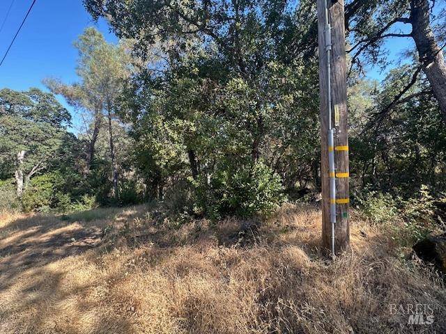 Clearlake, CA 95422,15829 20th AVE