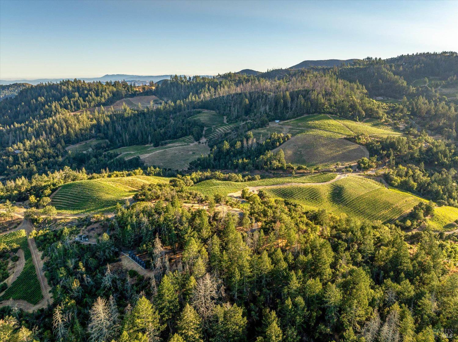 Napa, CA 94558,2340 Mount Veeder RD