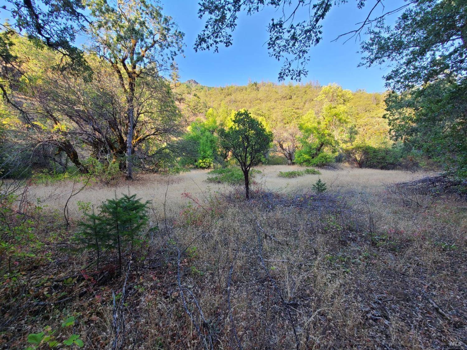 Covelo, CA 95428,0 Mina RD