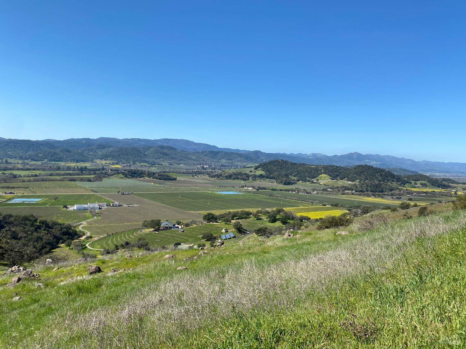 Napa, CA 94558,0 Chimney Rock RD