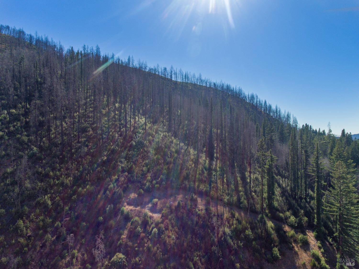 Santa Rosa, CA 95404,8250 St Helena RD