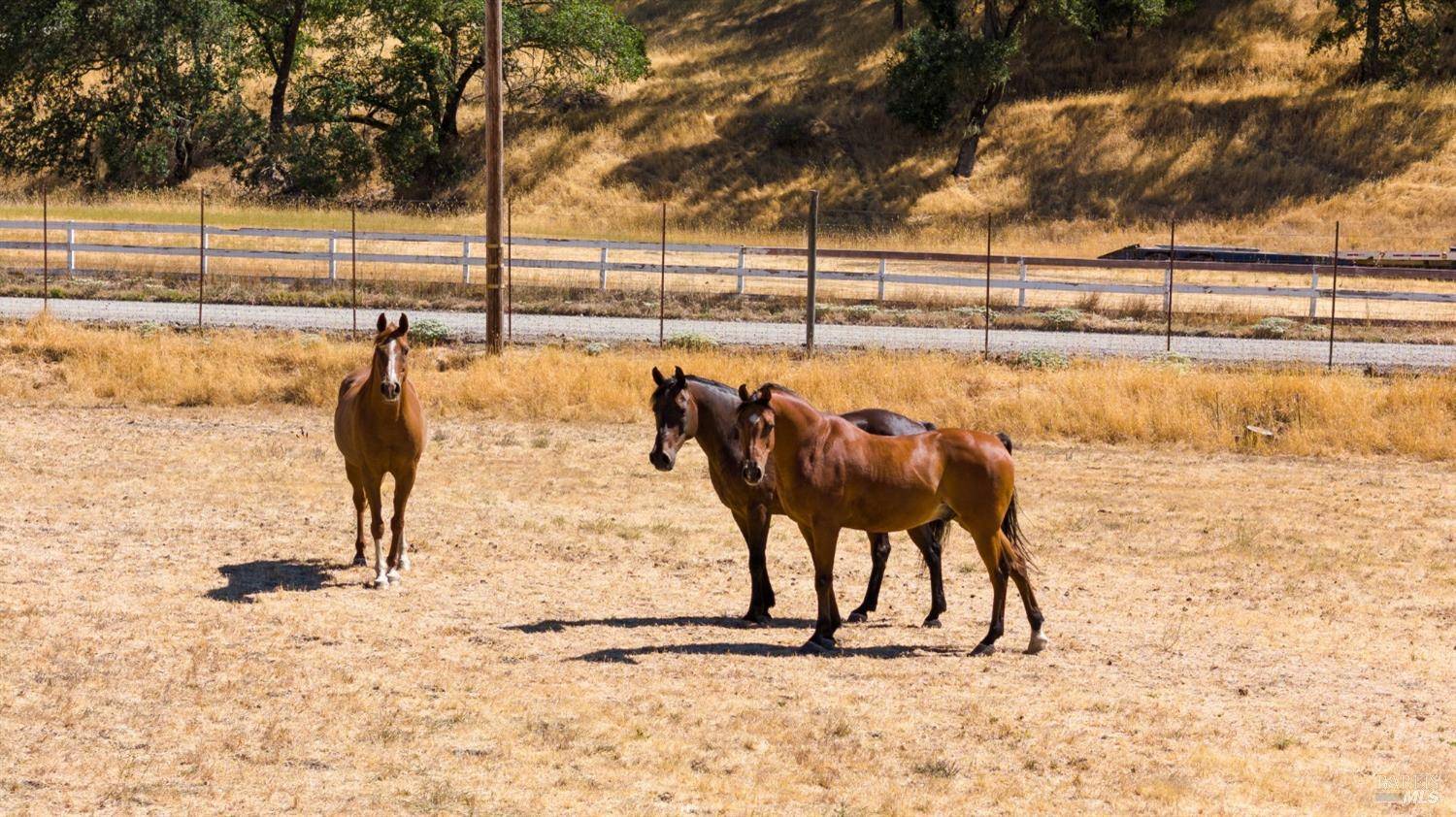 Hopland, CA 95449,3700 Feliz Creek RD