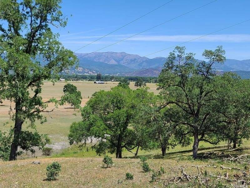 Covelo, CA 95428,23100 Poonkinney RD