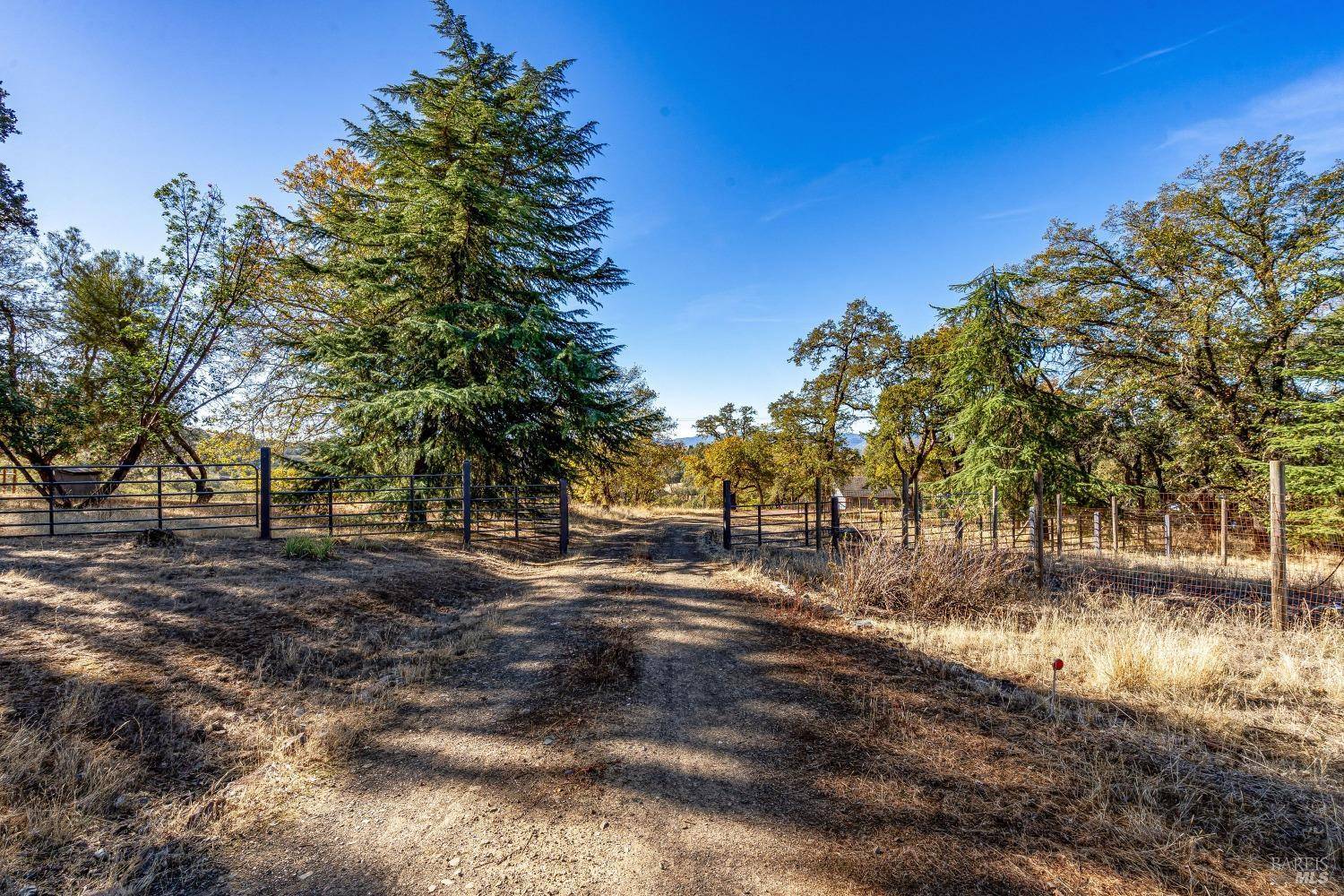 Redwood Valley, CA 95470,3380 Black Bart TRL