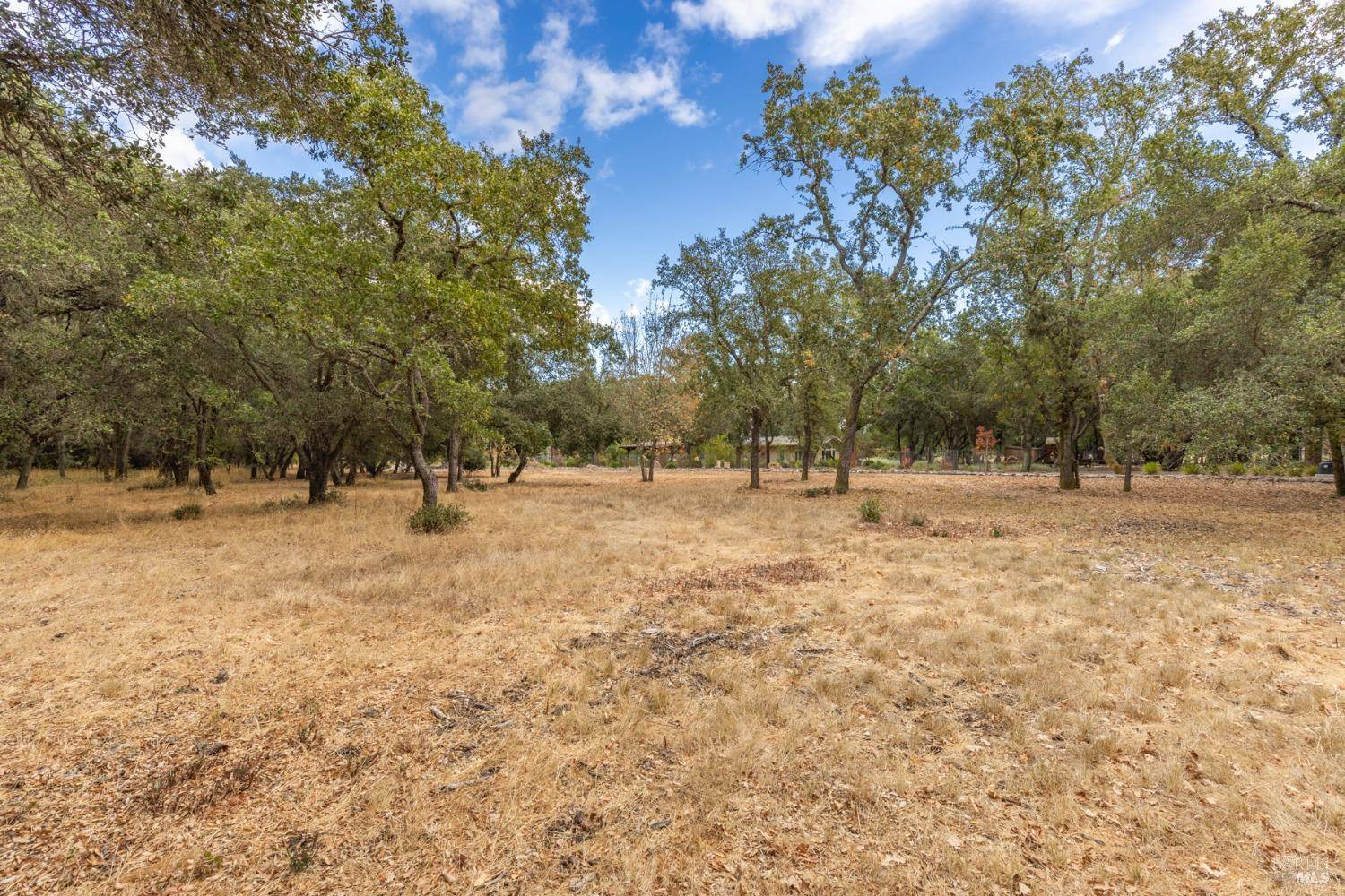 Sonoma, CA 95476,17035 Summer Meadow LN