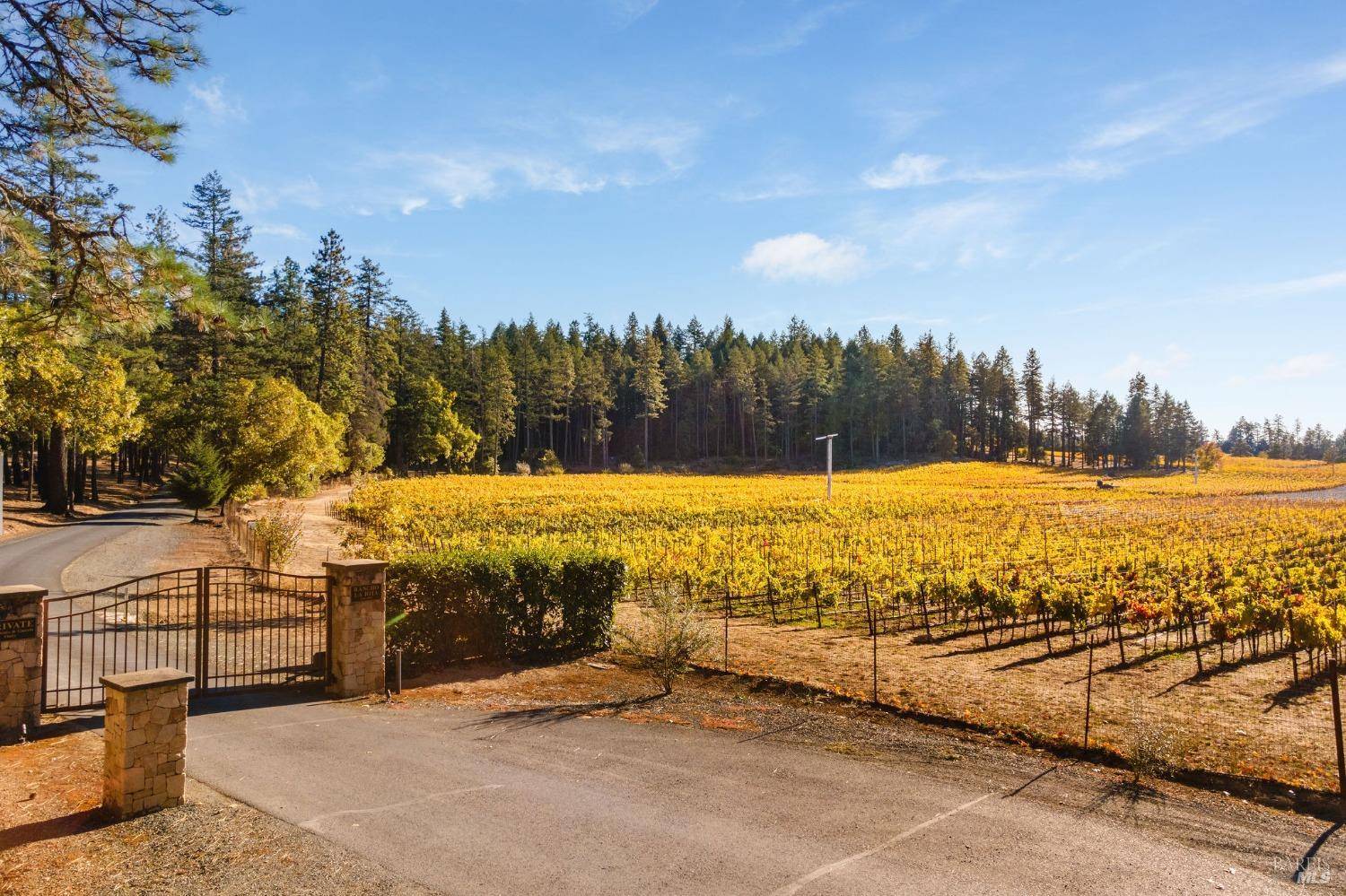 Angwin, CA 94508,1250 Las Posadas RD