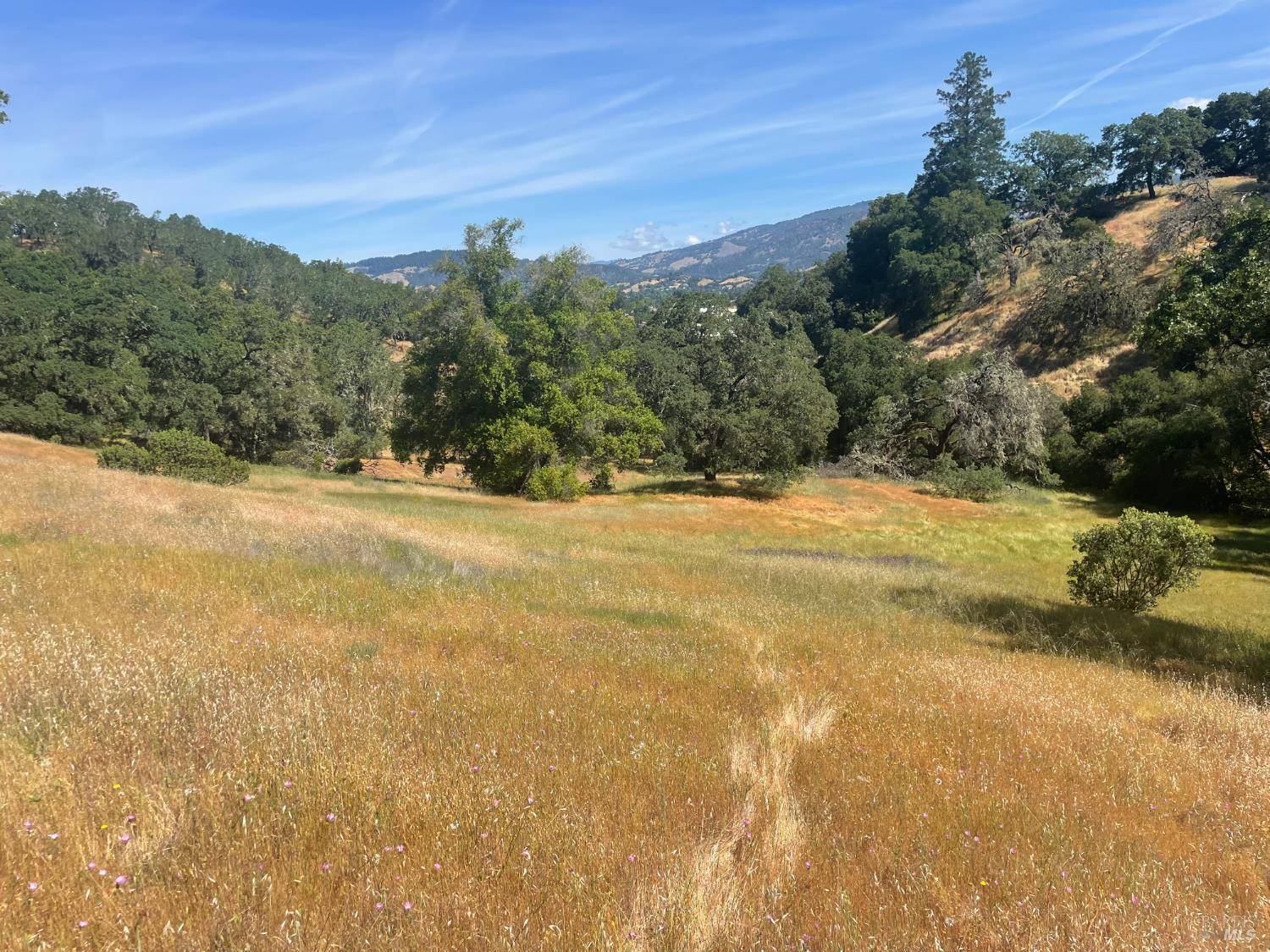 Cloverdale, CA 95425,28365 Old Redwood HWY