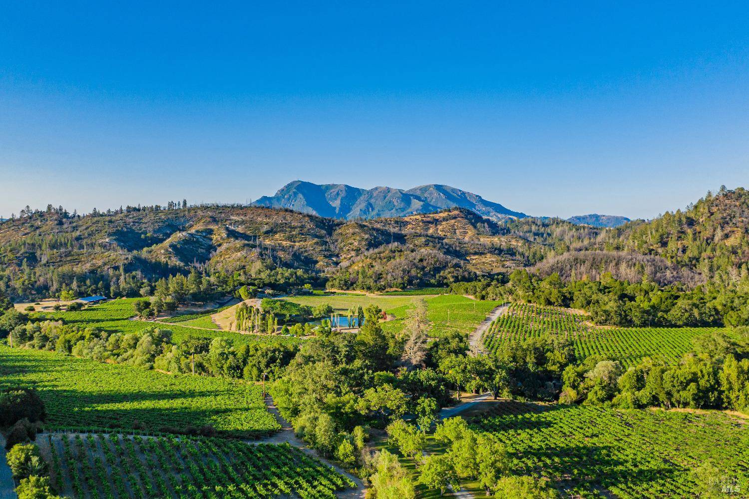 Calistoga, CA 94515,8320 Franz Valley RD