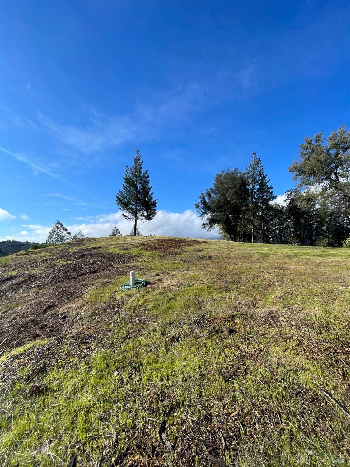 Calistoga, CA 94515,1635 Diamond Mountain RD